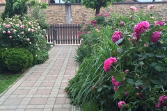 Ana Marija Cvitkušić