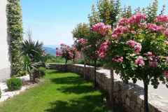 Angela, Mara Lubiana