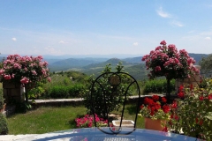 Angele, Mara Lubiana