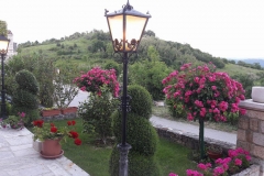 Angele, Mara Lubiana