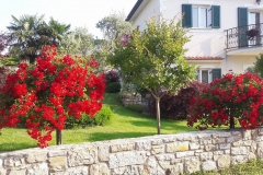 Bodenabendi, Mara Lubiana