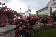 Rosarium Uetersen, Mara Lubiana