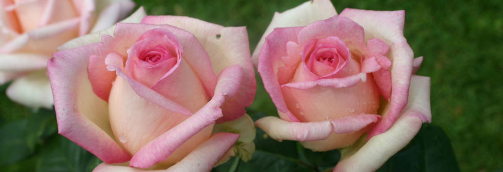 Souvenir de Baden-Baden