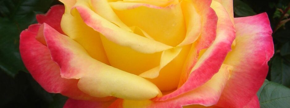 Pullman Orient Express